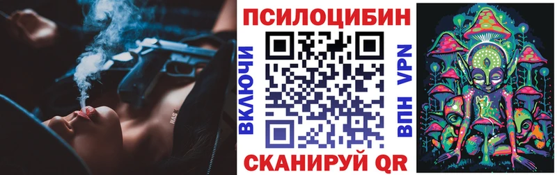 где купить наркоту  Завитинск  Псилоцибиновые грибы Psilocybe 